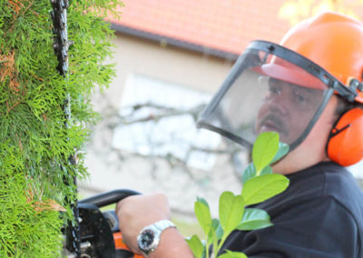 Fotogalerie-Heckenzuschnitt